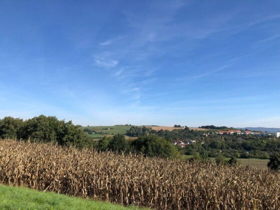 Wandertag der 4.Klassen